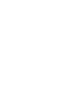 IVBO